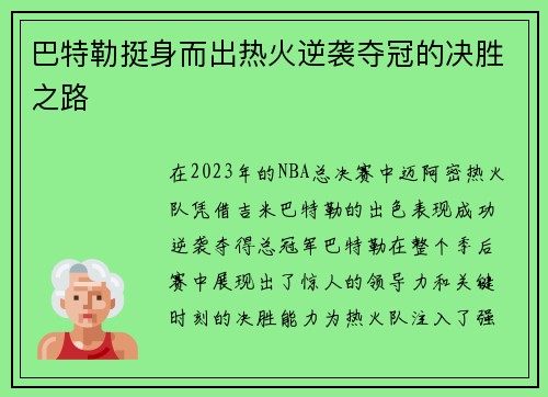 巴特勒挺身而出热火逆袭夺冠的决胜之路